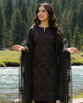 3 Piece - Noor Unstitched Black Embroidered Lawn Suit